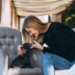 How Pet Care Near Me Services Support Your Pet’s Long-Term Health